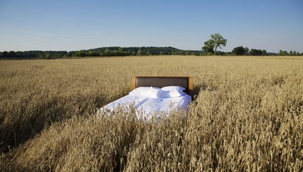 Double bed in middle of tall brown grass field