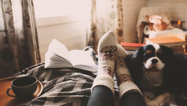 Stock image of sock covered feet next to black and white dog