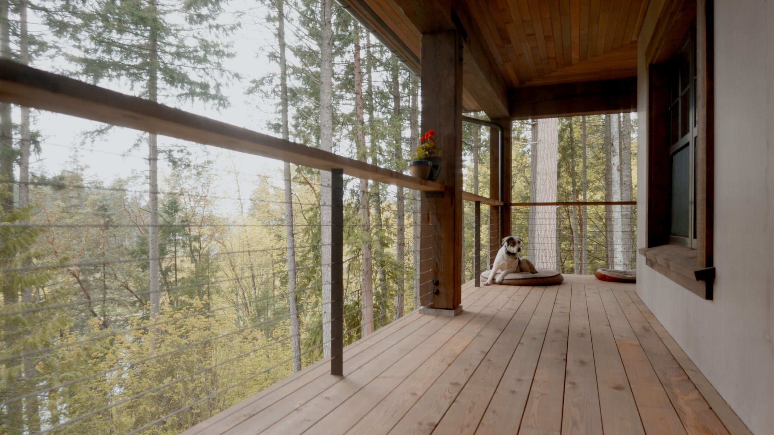 Western wooden patio with dog and Phantom Retractable screens